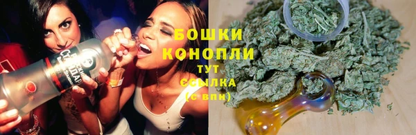 PSILOCYBIN Беломорск